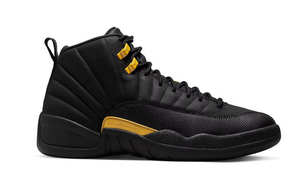 Air jordan 12 midnight black online