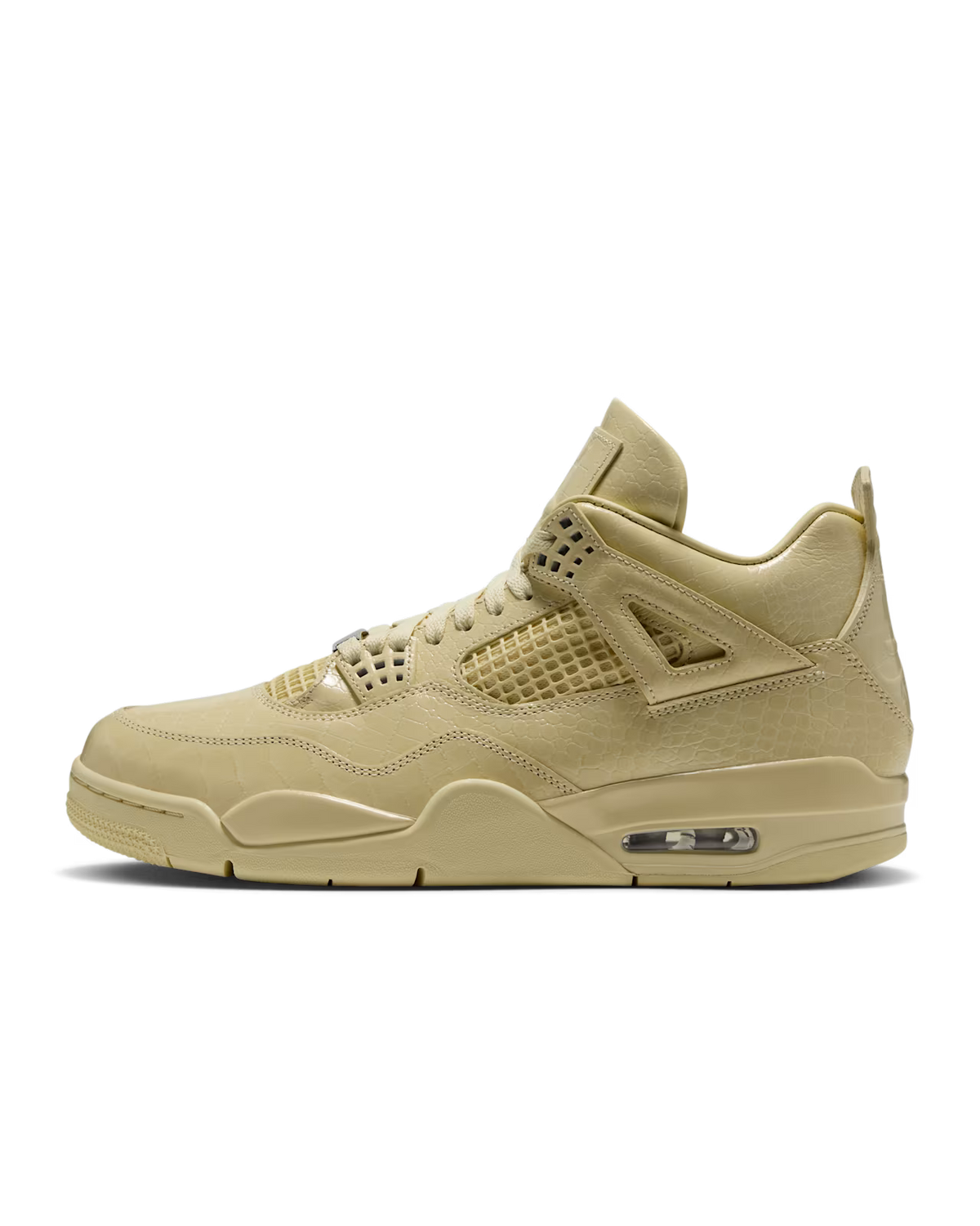 Air Jordan 4 x J Balvin Amazonas (24H SHIP)