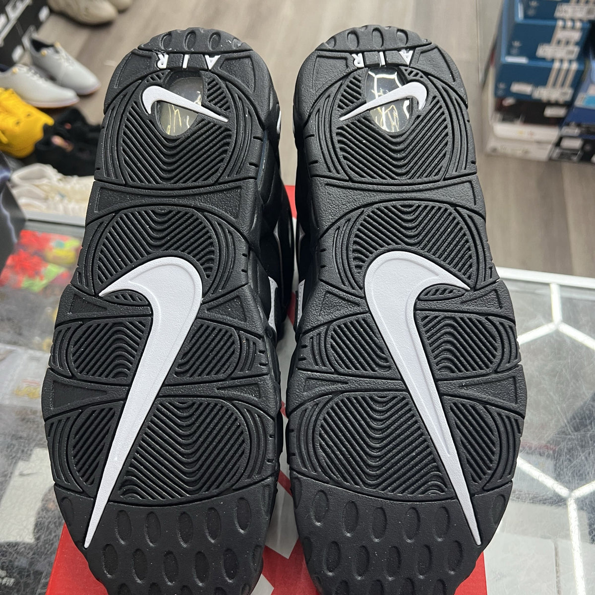 Soles